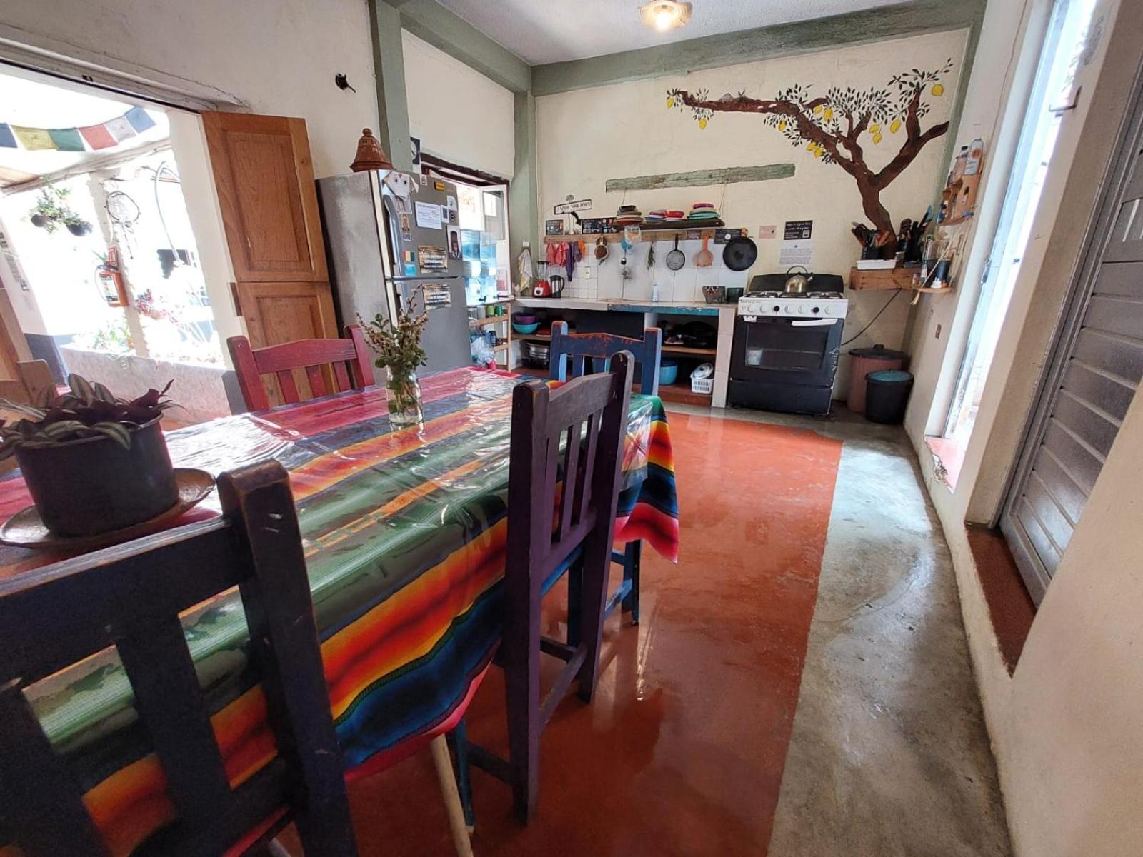 Hostal Posada Mi Casa San Cristóbal de Las Casas المظهر الخارجي الصورة