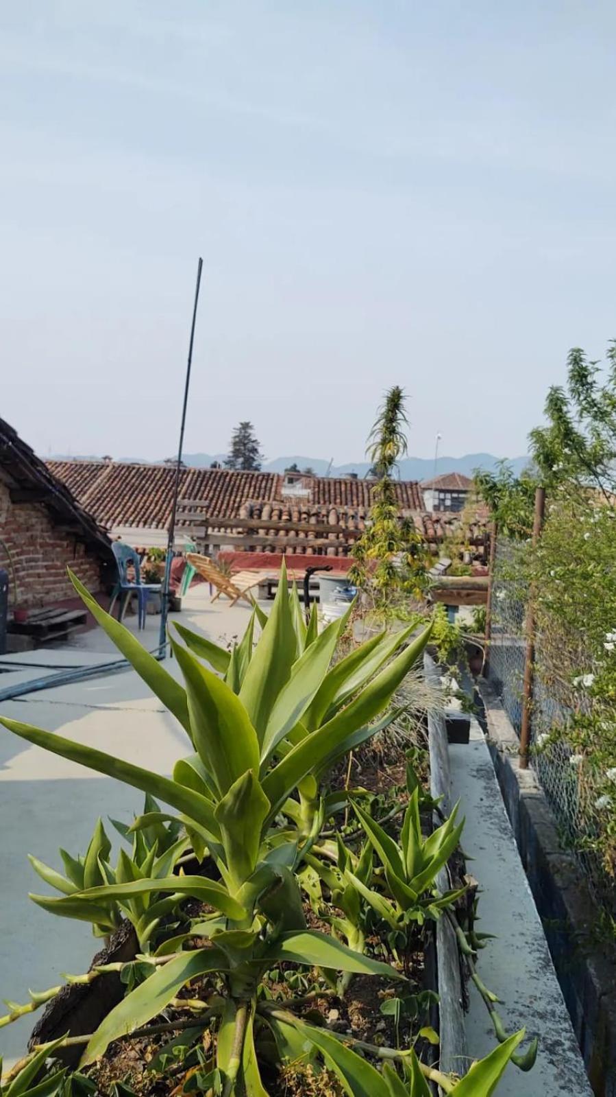 Hostal Posada Mi Casa San Cristóbal de Las Casas المظهر الخارجي الصورة